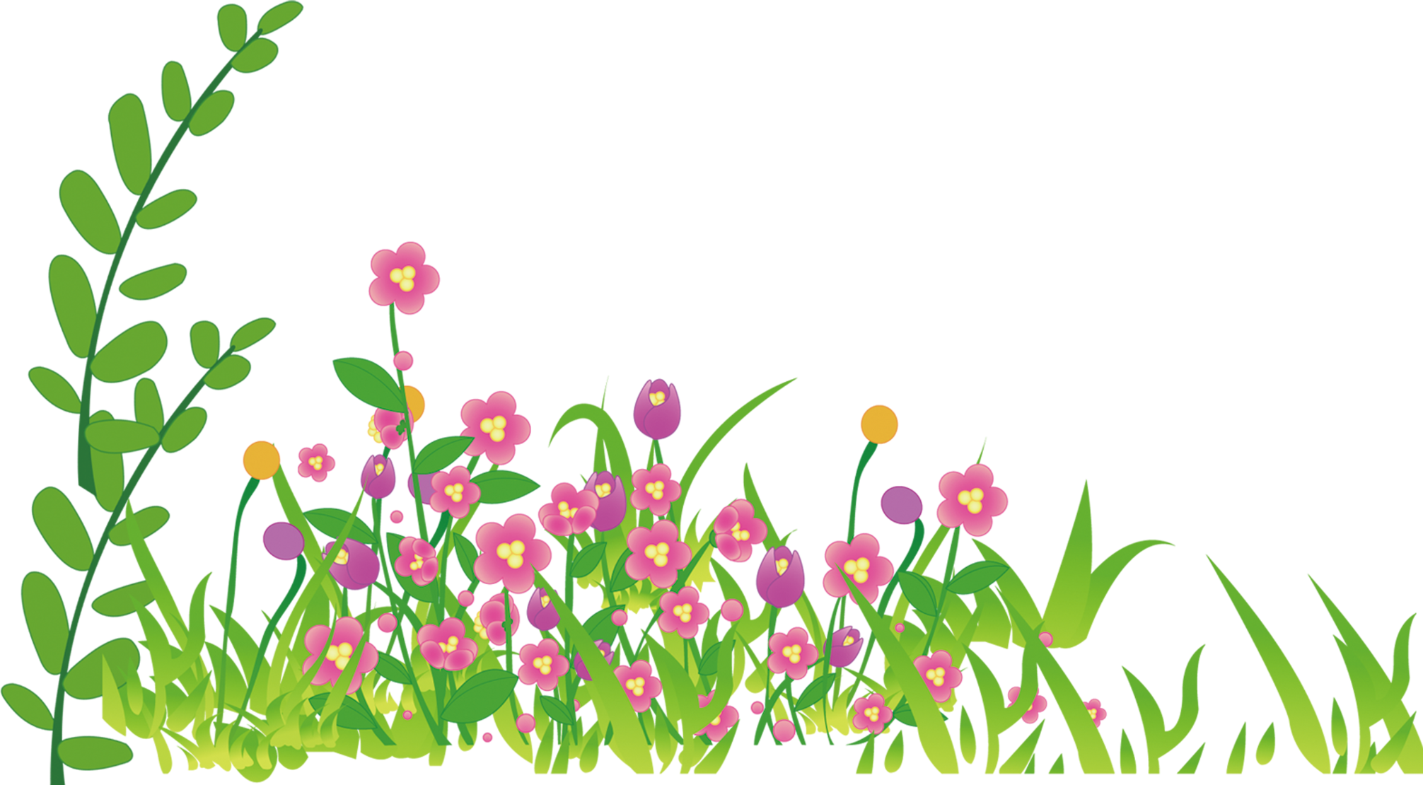 Flores